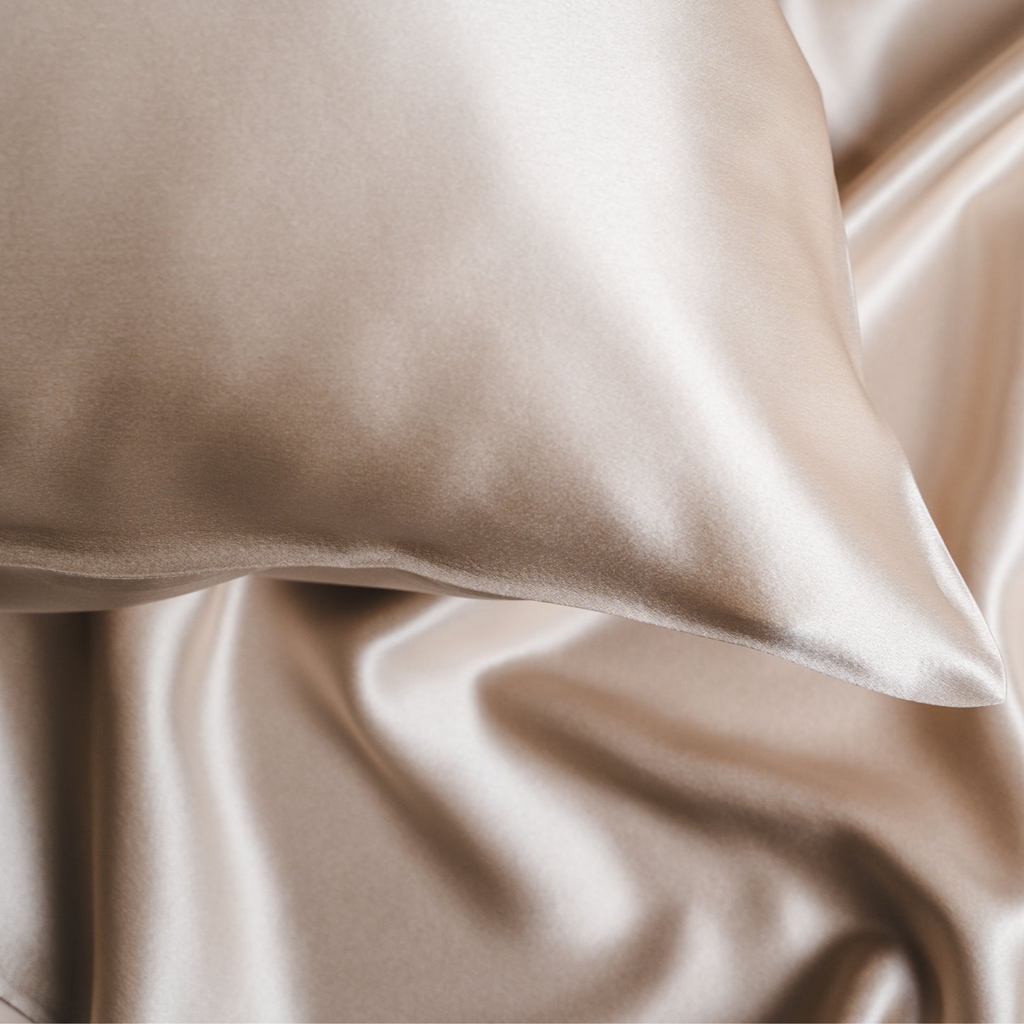 Golden beige mulberry silk pillowcases, presented in a Silk & Bears gift box