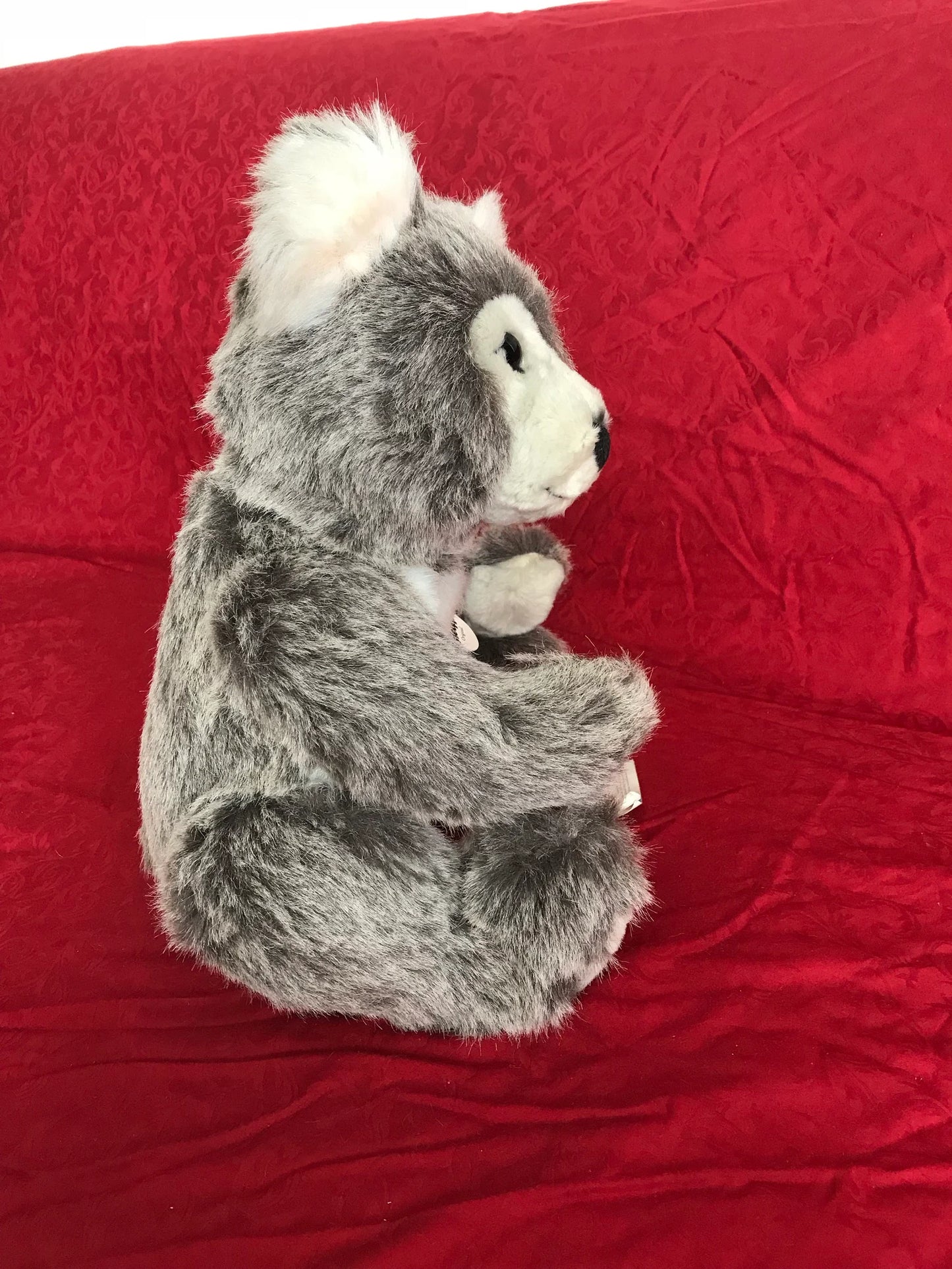Steiff Koala teddy bear - EAN010675