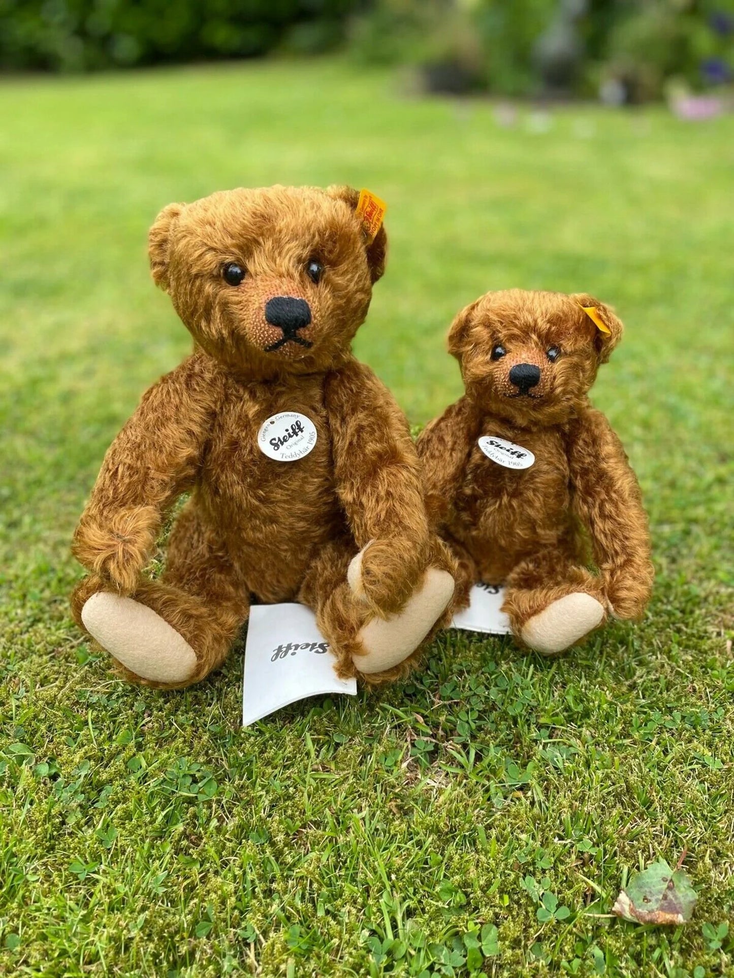 Classic 1905 Teddy bear - EAN 004803