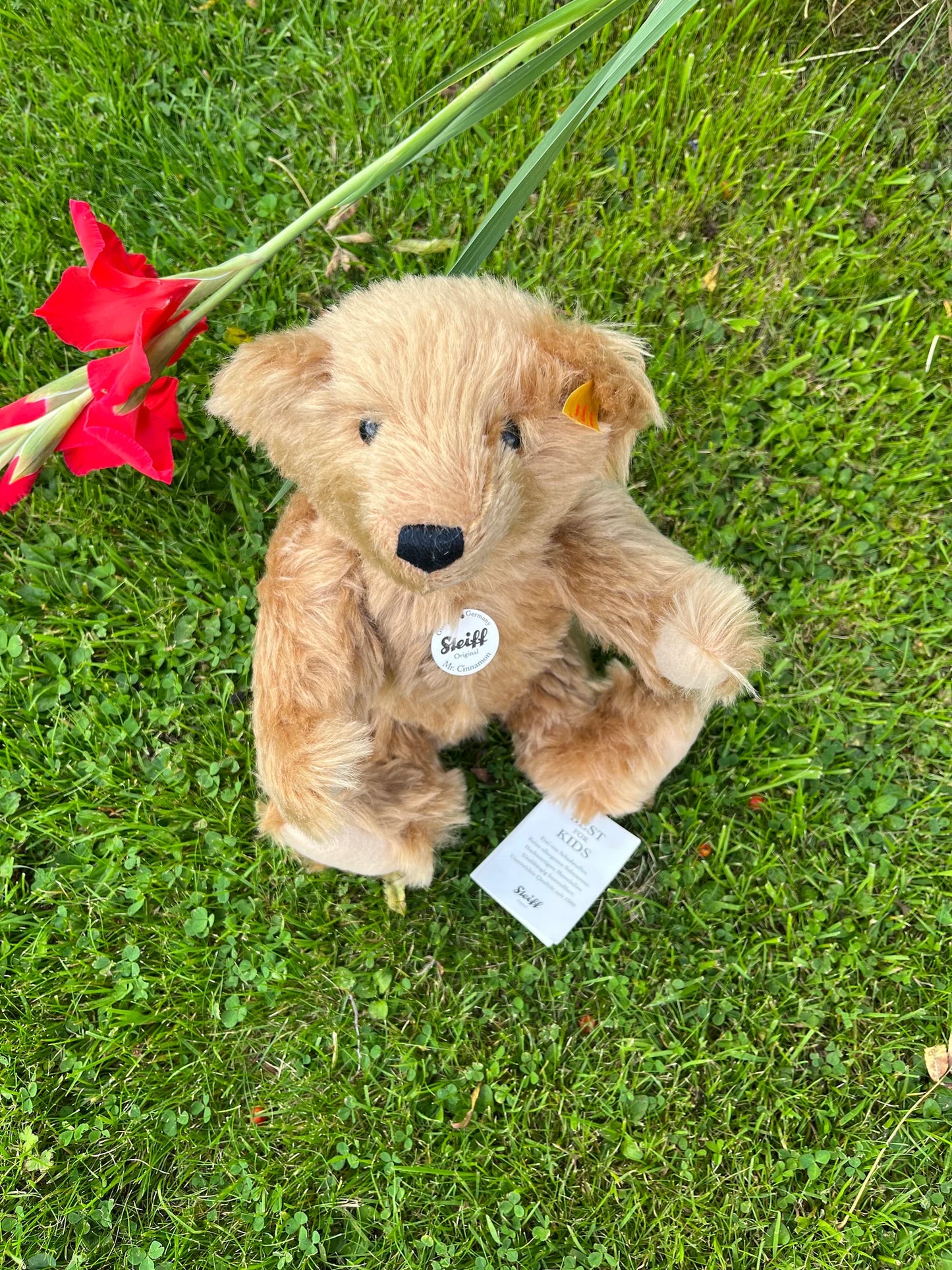 Steiff Mr. Cinnamon - EAN027048