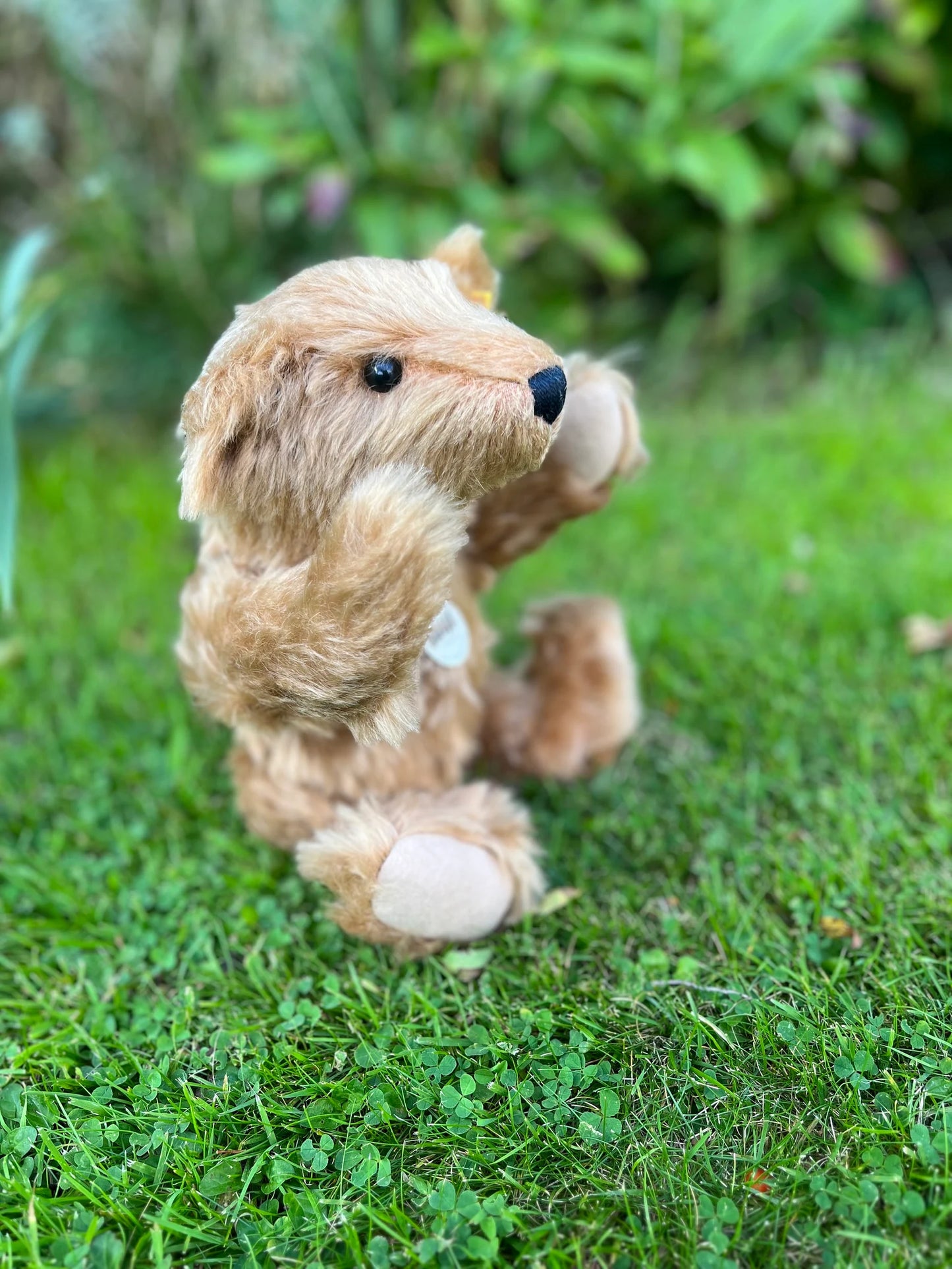 Steiff Mr. Cinnamon - EAN027048