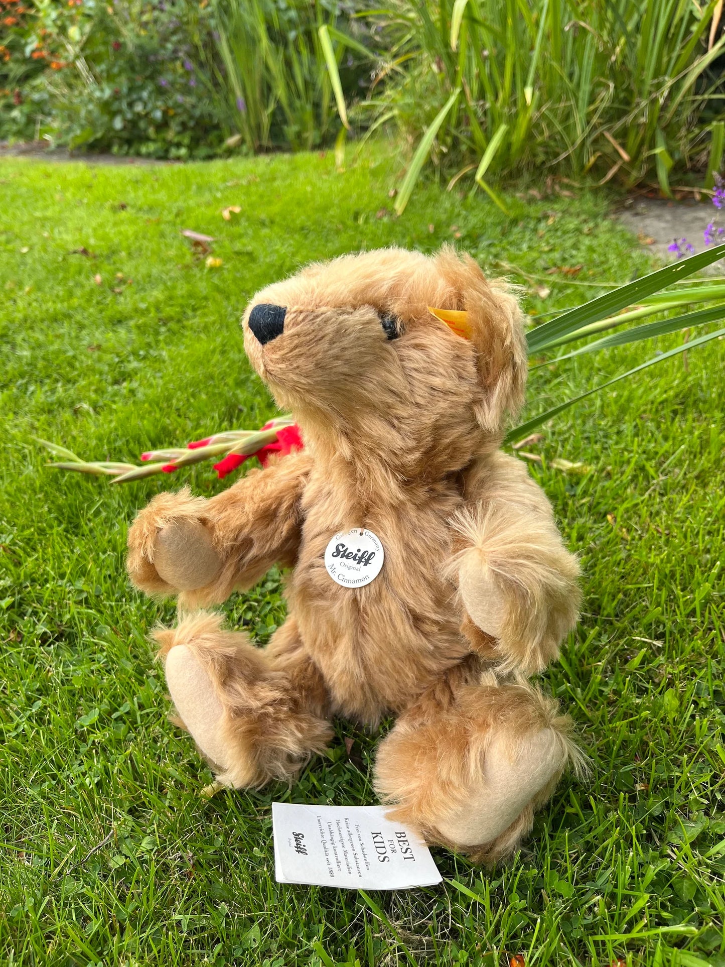 Steiff Mr. Cinnamon - EAN027048